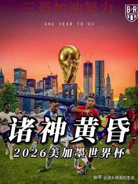 世界杯买球真实体验总结：平台可靠吗关键点解析（World Cup 2026）